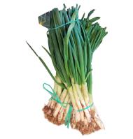 CALÇOTS MANOJO 25 UNIDADES