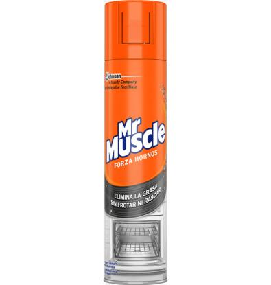 NETEJADOR FORZA FORNS 300 ML