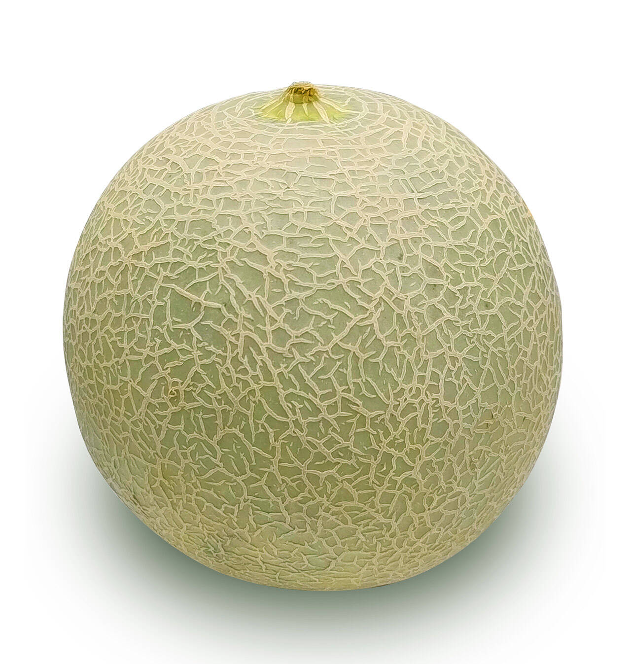 Comprar MELÓN CANTALOUP 1000 G MELÓN CANTALOUP 1000 G en Condisline