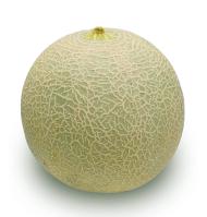 MELÓ CANTALOUP 1,2 KG APROX.