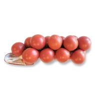TOMAQUET DE PENJAR 700 G APROX.