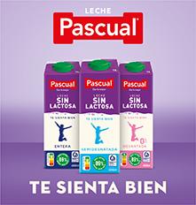 Leche Pascual Sin Lactosa brik 1 litro