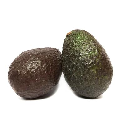 AGUACATE 2 UNIDADES 400G APROX.