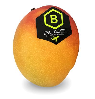 MANGO D'AVIÓ 350G APROX.