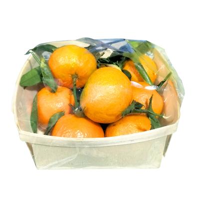 MANDARINA SINFONIA CAJA 1 KG