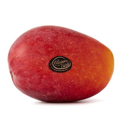 MANGO DEL CIELO 500G APROX.