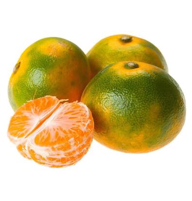 MANDARINA CLAUSELLINA 4 UNIDADES 600G APROX.