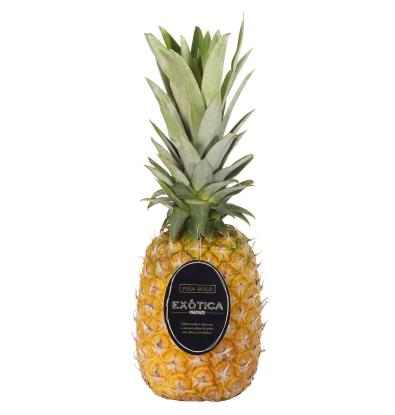 PIÑA EXÓTICA 2 KG APROX.