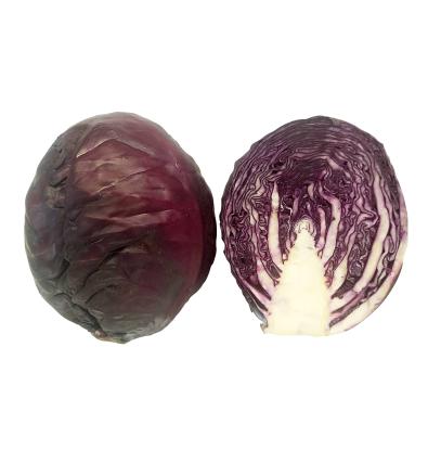 1/2 COL LOMBARDA 750 G APROX.