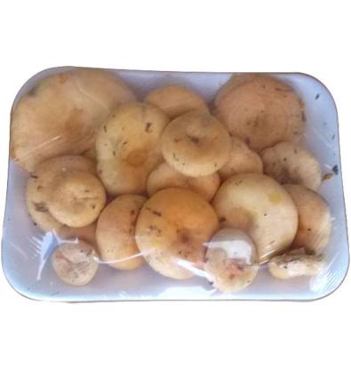 NISCALO BANDEJA 300 G APROX.