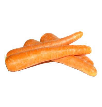 PASTANAGA 500G APROX.