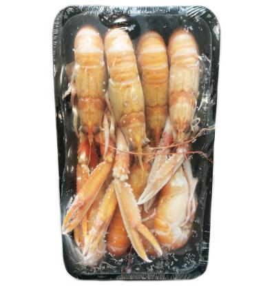 ESCAMARLA CONGELAT Nº1 CAIXA 500 G